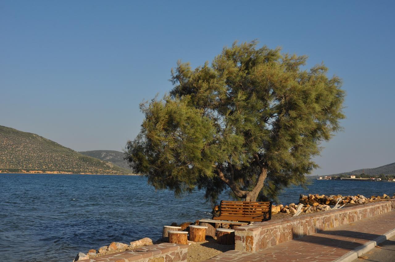 Apidias Lakos Ariadnes Holiday Accommodation מראה חיצוני תמונה