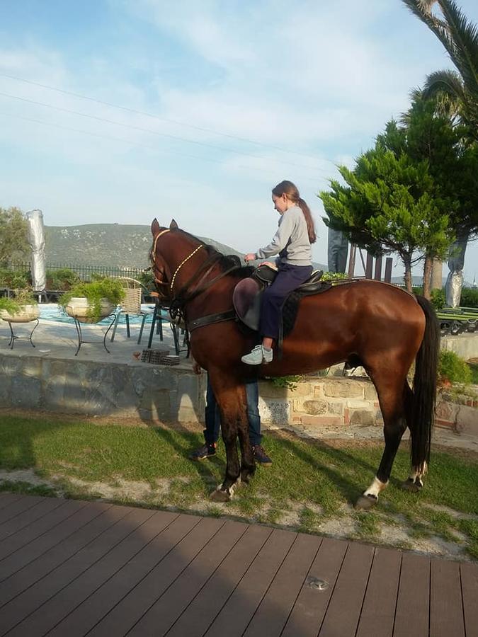 Apidias Lakos Ariadnes Holiday Accommodation מראה חיצוני תמונה